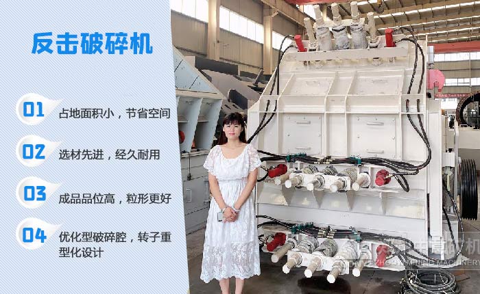 玄武巖處置設備 玄武巖處置設備